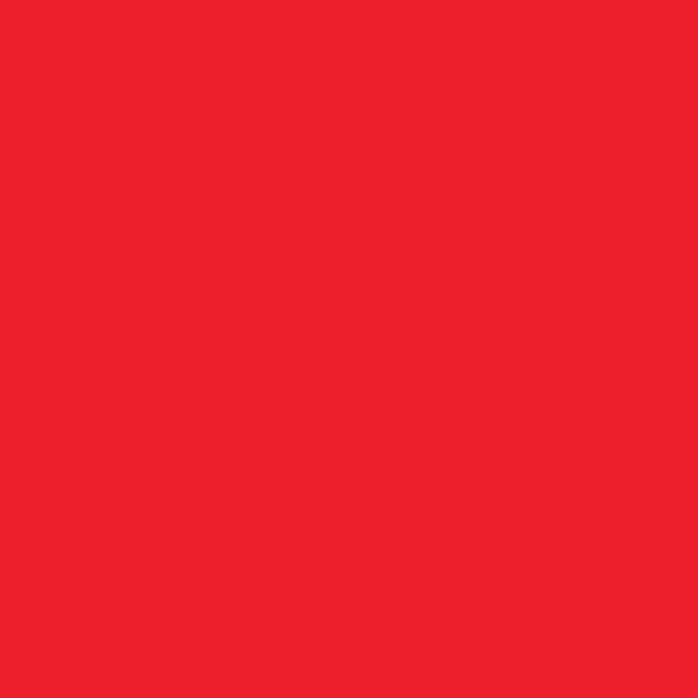 Daler Rowney, FW, Acrylic Ink, 1oz, Fluorescent Red